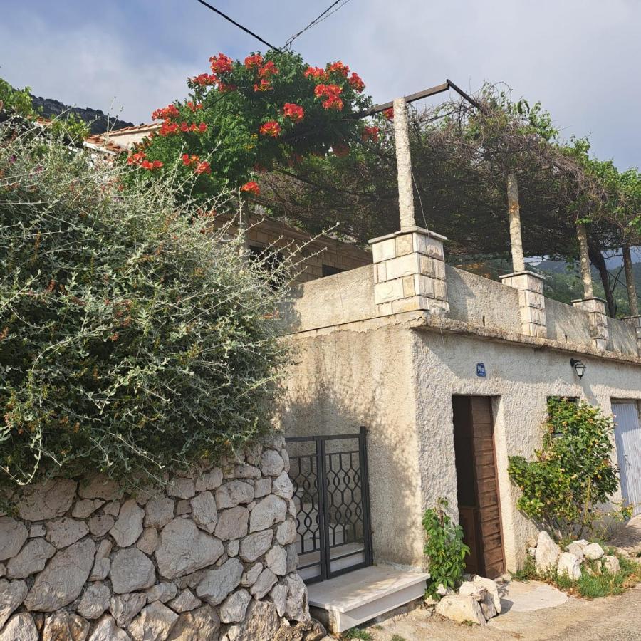 Guest House Tanja Babino Polje ภายนอก รูปภาพ