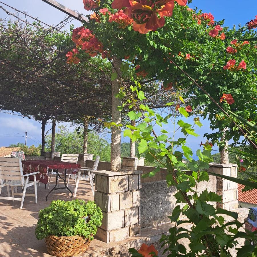 Guest House Tanja Babino Polje ภายนอก รูปภาพ