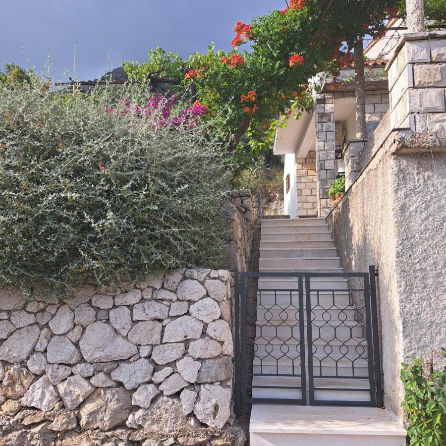 Guest House Tanja Babino Polje ภายนอก รูปภาพ